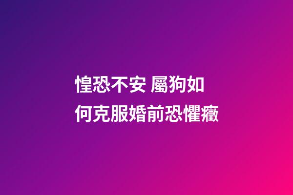 惶恐不安 屬狗如何克服婚前恐懼癥